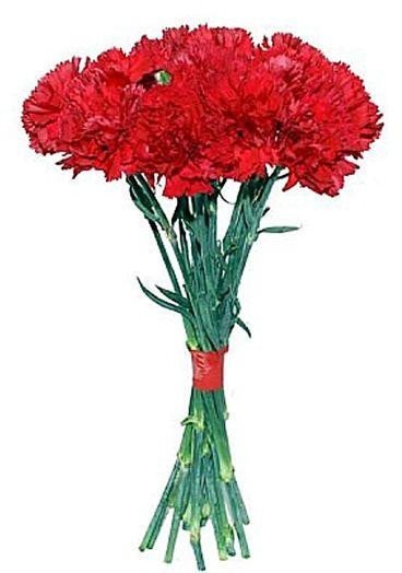 Букет цветов "Красные гвоздики"